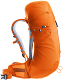 Deuter AC Lite 22 SL