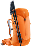 Deuter AC Lite 22 SL