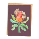 Pixie nut & Co. Greeting Cards