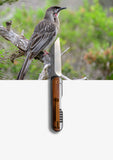 Koi Knives "Henry" | The Honey Eater AKA "Gentlemen's Knife"