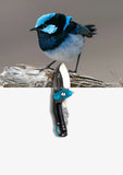 Koi "Bella" | The Blue Wren EDC Pocket Knife