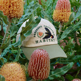 Pixie Nut & Co. Wildlife Cap