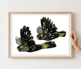 Grotti Lotti Art Prints