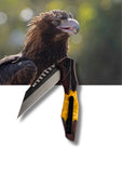 Koi Knives "Evan" | The Wedge Tailed Eagle EDC Pocket Knife