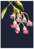Grotti Lotti Art Prints