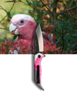 Koi Knives "Garry" | The Galah EDC Pocket Knife