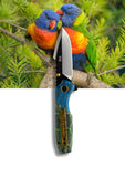 Koi Knives "Lily" | The Lorikeet