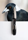 Koi Knives "Max" | The Magpie Magna-Cut Steel Pocket Knife