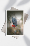 Allison Premischook Greeting Cards