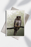 Allison Premischook Greeting Cards