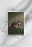 Allison Premischook Greeting Cards