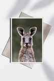 Allison Premischook Greeting Cards