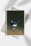 Allison Premischook Greeting Cards