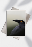 Allison Premischook Greeting Cards
