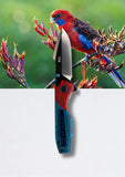 Koi Knives "Robin" | The Crimson Rosella
