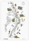 Absolute Outdoors Postcards